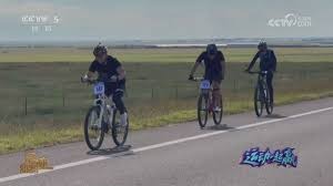 数字博彩股表现领先传统股